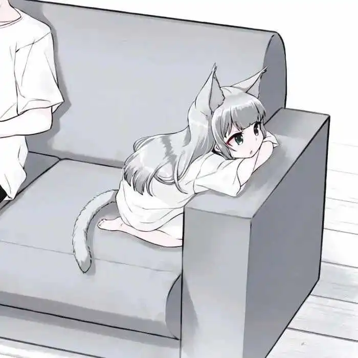 西檬之家k8猫系是什么意思? 一