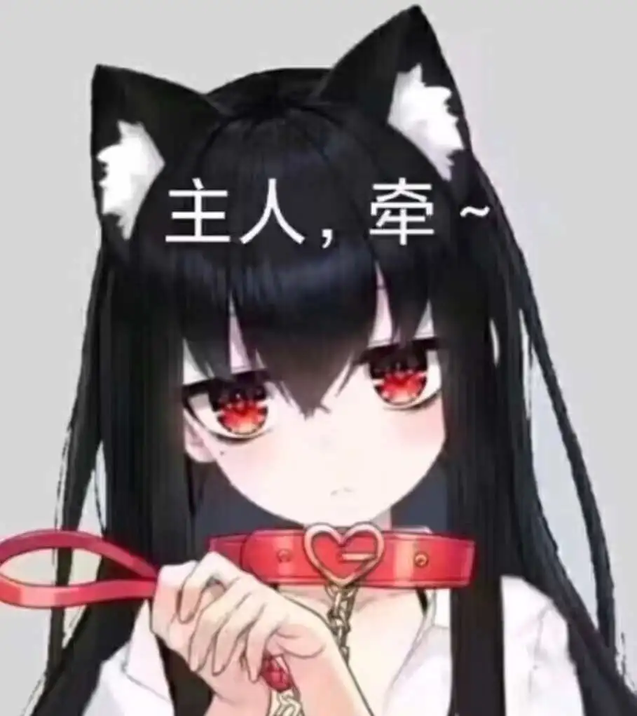 西檬之家K9犬系是什么？你的字母圈属性是什么？ 一