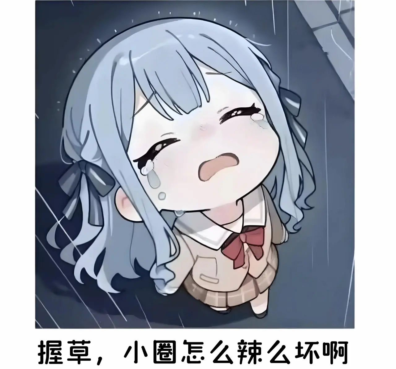 西檬之家sp小圈是什么? 一