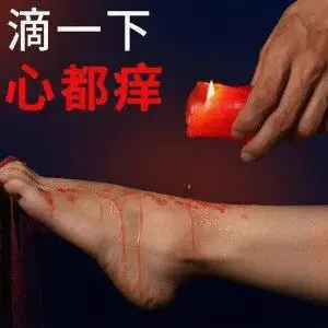 西檬之家k9是什么? 一