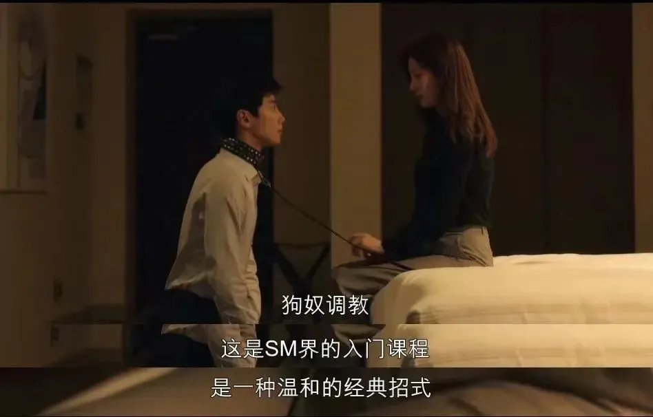 西檬之家k8猫系是什么意思?字母圈新人入圈 一