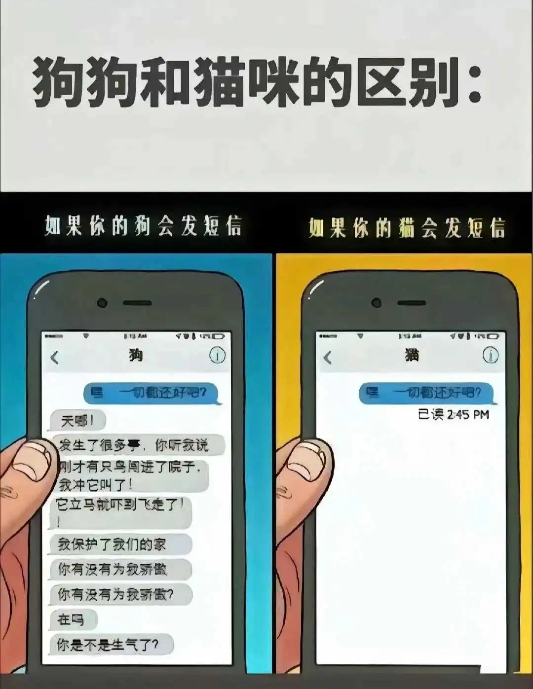 西檬之家M倾向是什么意思？ 一