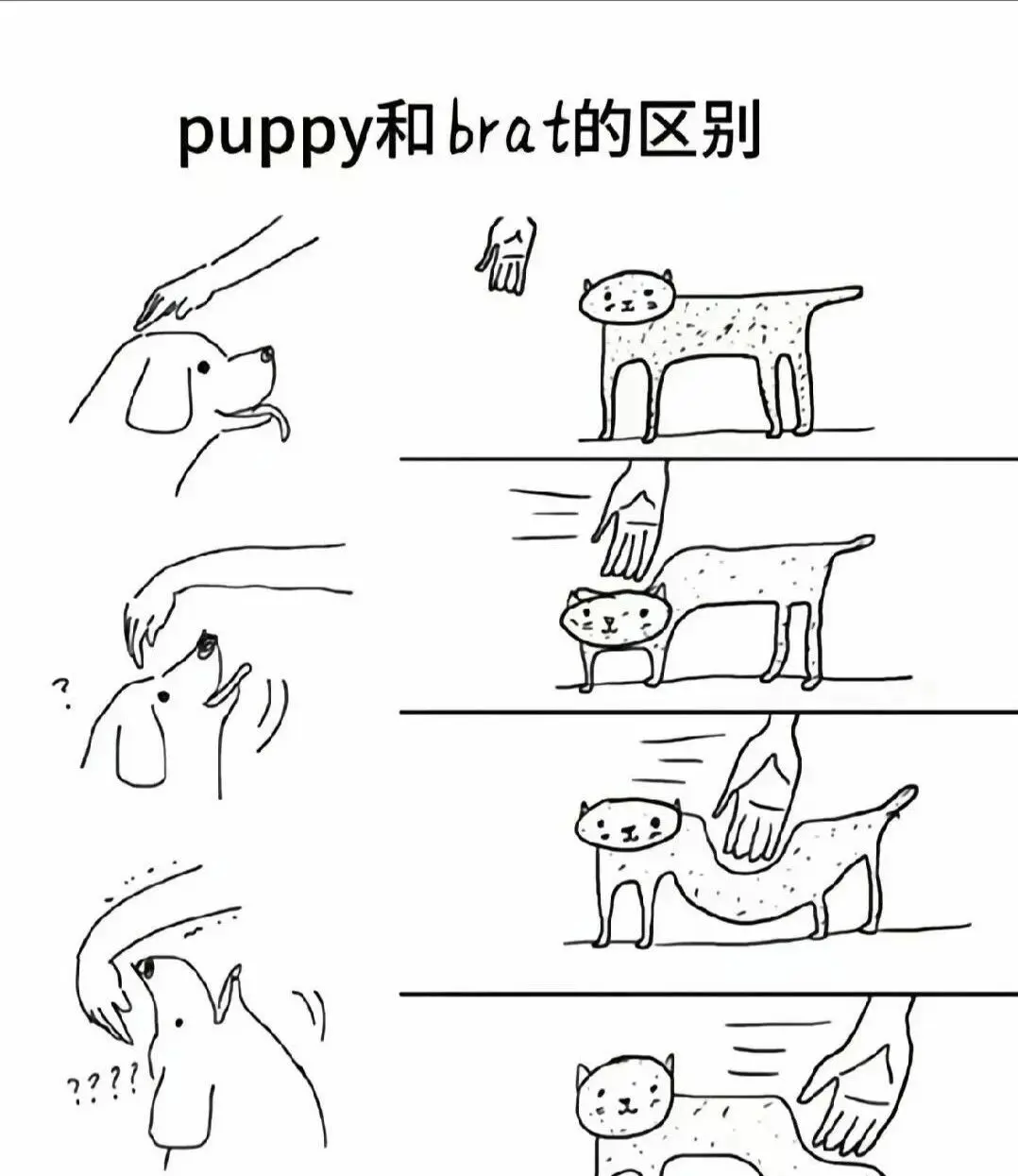 西檬之家brat属性是什么意思？ 一
