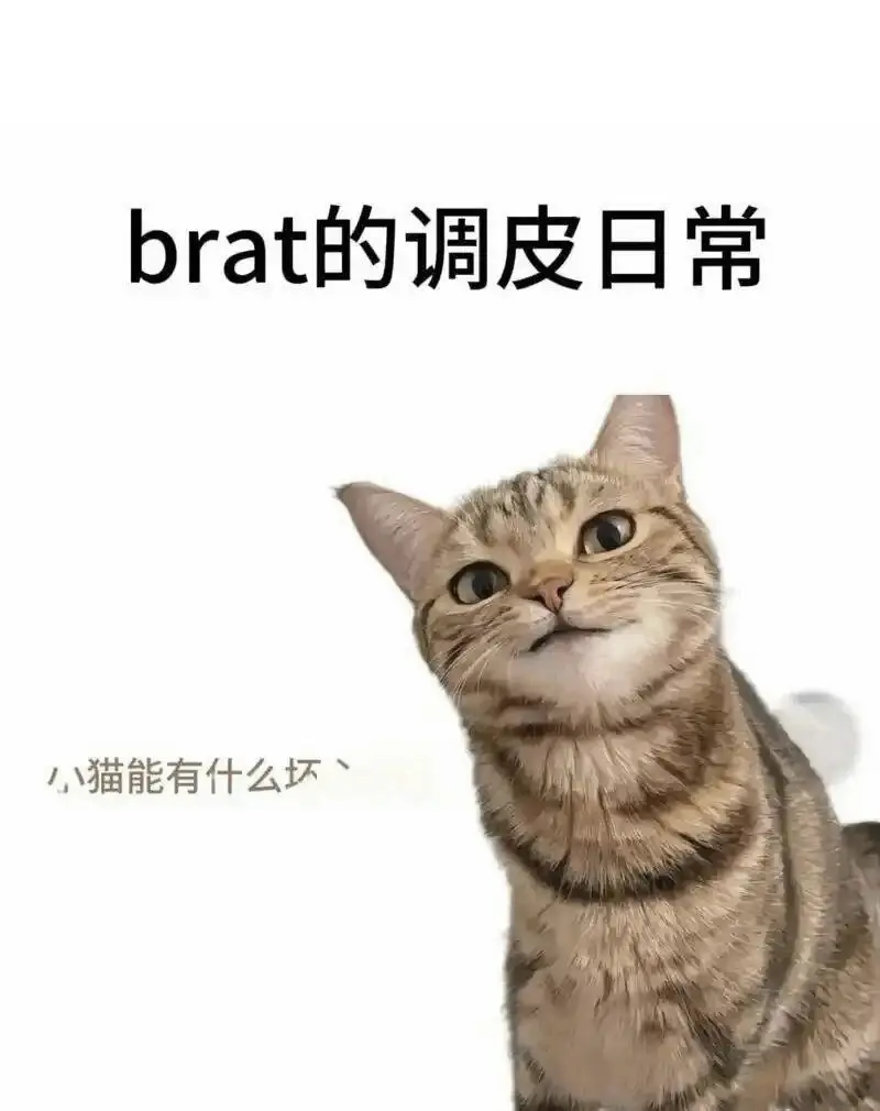 西檬之家字母圈TK是什么？ 一