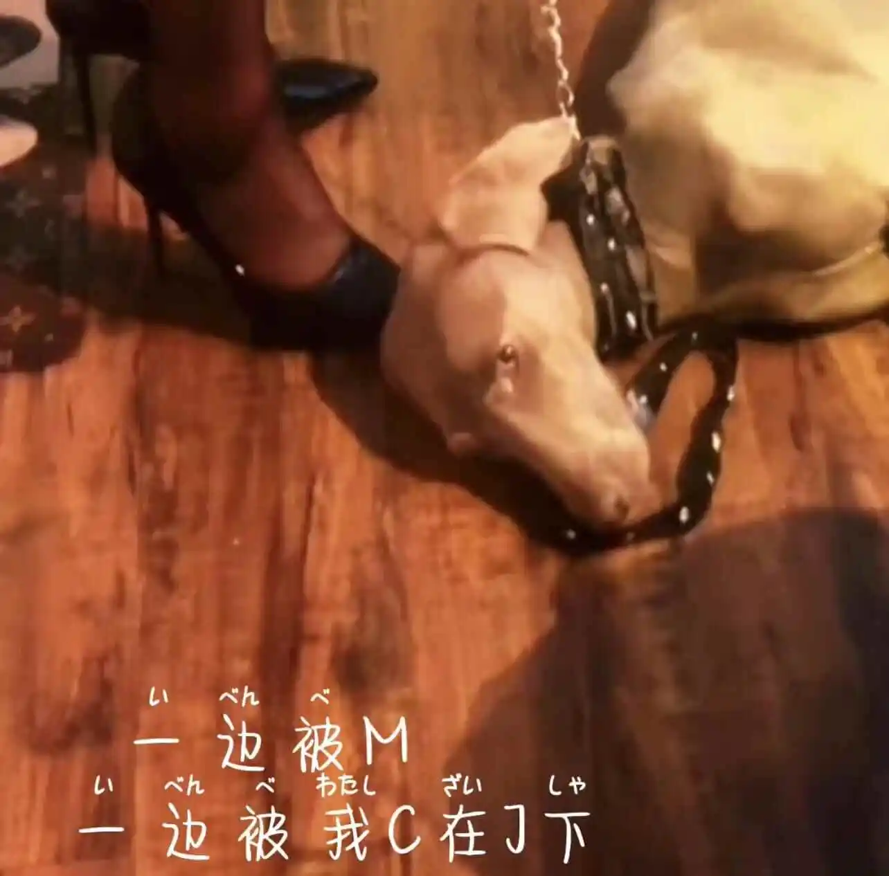 西檬之家斯慕圈是什么？字母圈新人入门指南 一