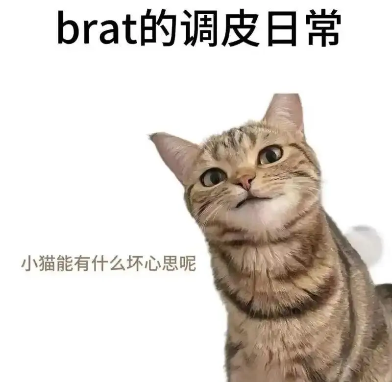 西檬之家字母圈圣水是什么？ 一