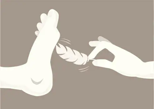 西檬之家sm亚文化入门指南 一