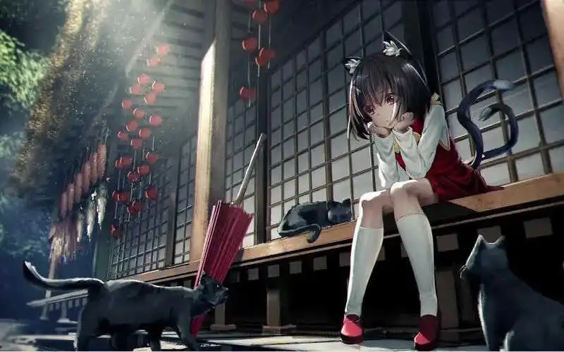 西檬之家恋足癖是BDSM吗?字母圈新人知识科普 一