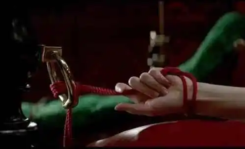 西檬之家-ddlg是什么？字母圈角色扮演指南 一